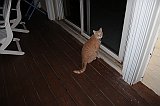 IMG_6336 (2)